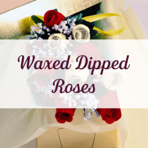 Wax Dipped Roses